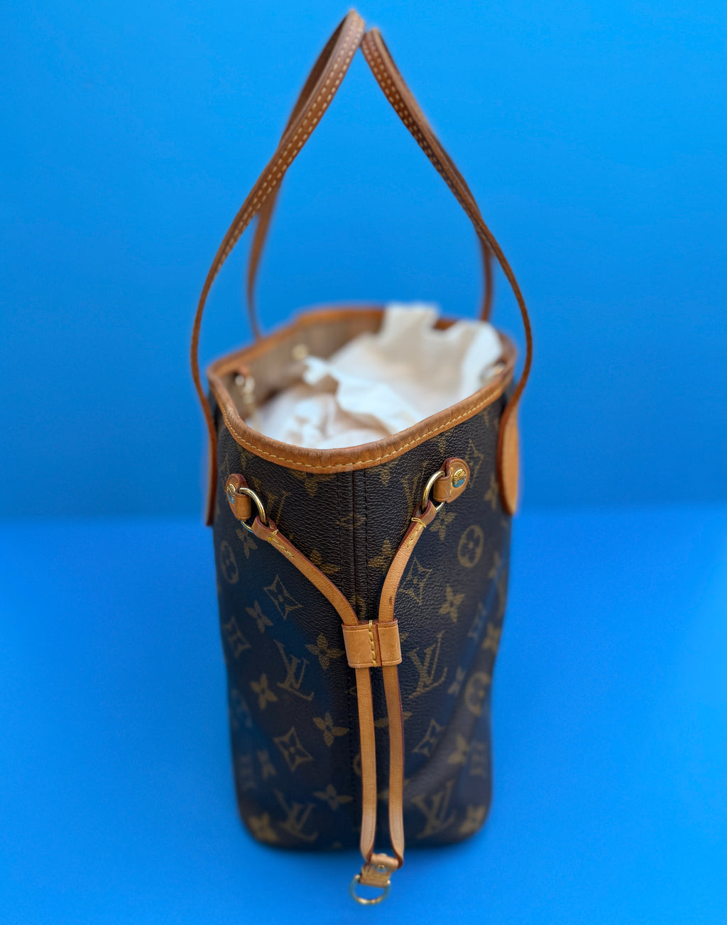 Louis Vuitton Neverfull PM In Monogram Canvas